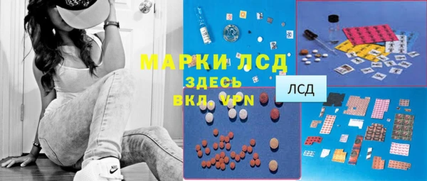 спайс Нея