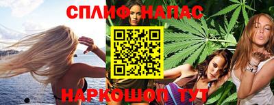 гидра Берёзовский
