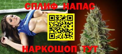гидра Берёзовский