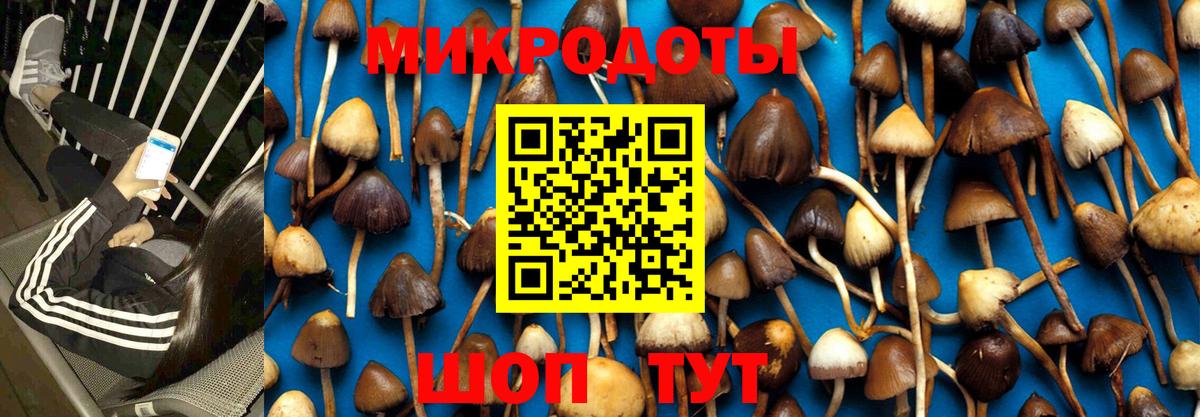 Галлюциногенные грибы ЛСД Барабинск
