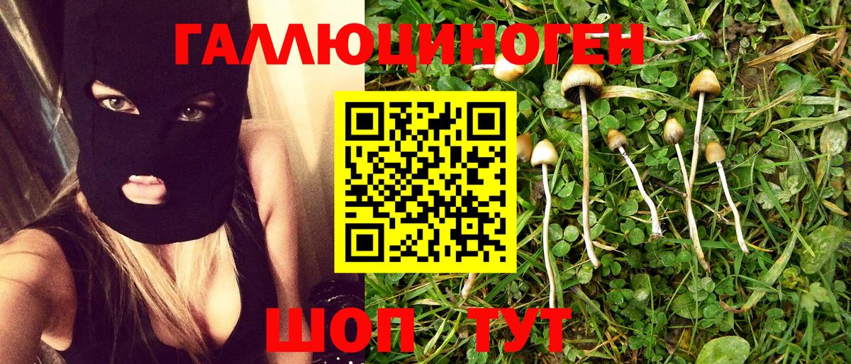 наркошоп  Псилоцибиновые грибы GOLDEN TEACHER  Вход с VPN  Псилоцибиновые грибы Magic Shrooms  Барабинск 